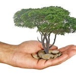 CRM for growth